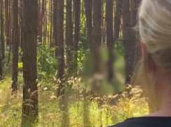Женщины спугнули онаниста в воронежском лесу у больницы
