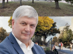 Воронежцы попросили губернатора Гусева спасти городские деревья