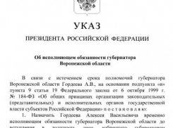 Алексея Гордеева назначили и.о. губернатора Воронежской области