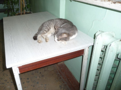 В Воронеже поликлиники погрязли в пыли и грязи (ФОТО)