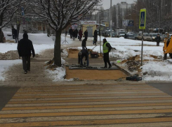 Причину укладки тротуарной плитки зимой раскрыли в Воронеже