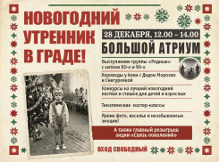 Как в старые добрые: в Воронеже бесплатно проведут тот самый новогодний утренник
