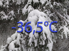 Слышали ли вы: в каком году температура в Воронеже опустилась до -36,5°C