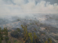 Информация об эвакуации турбаз вблизи Воронежа не подтвердилась