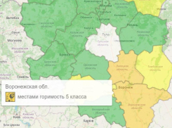 Оранжевый уровень опасности объявлен из-за погоды в Воронежской области