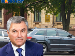 Володин призвал чиновников отказаться от иномарок - сколько машин тогда потеряет воронежское правительство