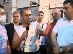 Северный лес: воронежская Справедливая Россия обратилась к Путину