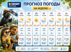 Воронежцев ждет жаркая неделя с дождливым финалом: прогноз погоды на неделю
