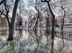 Владимир Познер рассказал, какое впечатление произвел на него Воронеж