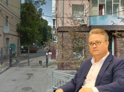 Шесть ключевых тезисов мэра Кстенина про судьбу деревьев в Воронеже