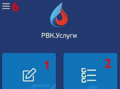 Мобильное приложение «РВК-услуги»: поверка счётчика – самая популярная услуга у воронежцев