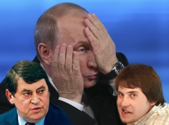 Владимиру Путину пожаловались на сына-бизнесмена воронежского вице-губернатора 