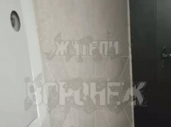 «По-тихому сходим с ума», - непонятный звук доводит жителей многоэтажки в Воронеже