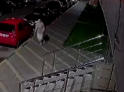 Упавший кирпич чуть не убил девушку в воронежском ЖК