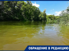 «Превращается в болото»: воронежцы пожаловались губернатору на резкое ухудшение состояния реки Хава 