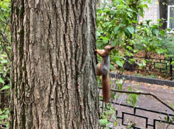 Рыжая бестия показала, как правильно позировать на фото в Воронеже