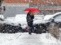 Синоптики рассказали, сколько в Воронеже продлится снегопад