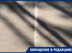 2 минуты дискомфорта показали на видео в Воронеже