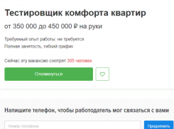 Необычную работу с зарплатой до 450 тысяч рублей предложили воронежцам