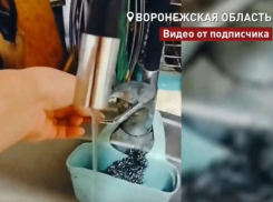 Воронежцы пожаловались Путину на отсутствие воды в 5-этажке на Московском проспекте 