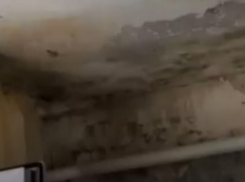 Наглый обман раскрыли жители «мокрого» дома в Воронежской области