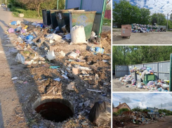 «Вонь на всю округу»: Воронеж продолжает изнывать под гнетом мусорного кризиса
