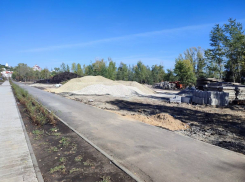 «Вырубили примерно половину деревьев», - депутат о второй очереди Петровской набережной в Воронеже