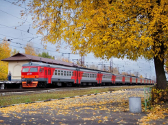 Семь сезонных электричек отменяют в Воронежской области