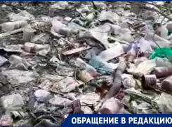 «5 лет не убирается дворник»: воронежцы попросили помощи Кстенина в связи с помойным завалом