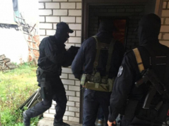 Опубликованы фото спецоперации против воронежских домушников