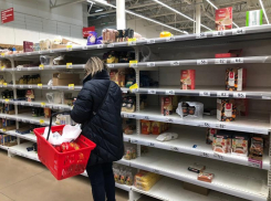 Стремительно пустеющие полки магазинов напугали жителей Воронежа