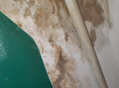 Все разваливается и тонет в дерьме: жители воронежской многоэтажки просят о помощи