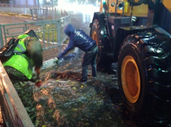 Ликвидацию последствий аномального ливня показали на фото в Воронеже