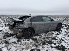 Цепное ДТП под Панино: подробности серьезной аварии в Воронежской области