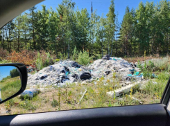 Воронежская область вошла в десятку самых замусоренных регионов страны