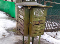 «Доисторические» почтовые ящики, превращающие все в кашу, показали на фото в Воронеже