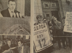 Воронежские власти проталкивали приватизацию на фоне митингов населения