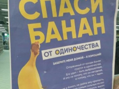 Реклама одиноких бананов растрогала жителей Воронежа 