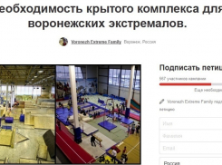 Воронежские экстремалы написали петицию в адрес Алексея Гордеева