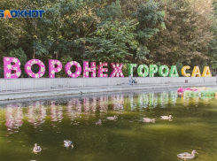 Воронежский депутат призвал отменить «Город-Сад» в 2024 году 