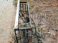 Это сделали люди: печальное зрелище расстроило жителей Воронежа