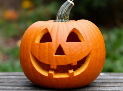 Вкус осени: согревающие рецепты из тыквы 