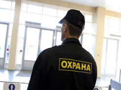 Дело директора ЧОПа, охранявшего Воронеж на День города, вернули в суд