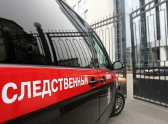 В Воронежской области около дороги нашли труп 15-летней девочки