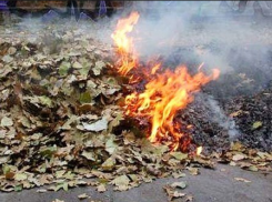 МЧС: смог в Воронеже  появился из-за сжигания листвы и мусора 