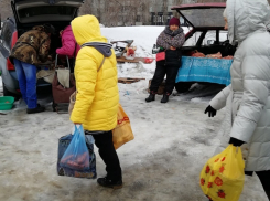 Воронежцы пожаловались на «колхозников», которые устроили рынок на тротуаре
