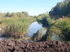 Дамба раздора: пока чиновники лепят отписки, воронежцы берут и делают