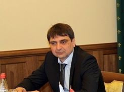 «Марков с самого начала был темной лошадкой. Будет ли он работать после выборов губернатора - знает только он сам»