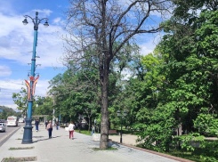 Как спасти Петровский сквер от уничтожения через злоустройство