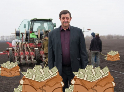 Воронежский единоросс Алименко за год разбогател на 26 млн рублей